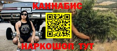 сатива Ирбит