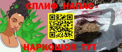 сатива Ирбит