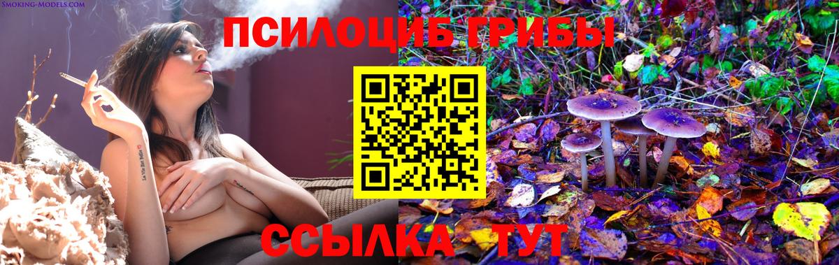 Галлюциногенные грибы мицелий  Псилоцибиновые грибы Cubensis  магазин продажи наркотиков  Магадан  Вход с VPN 