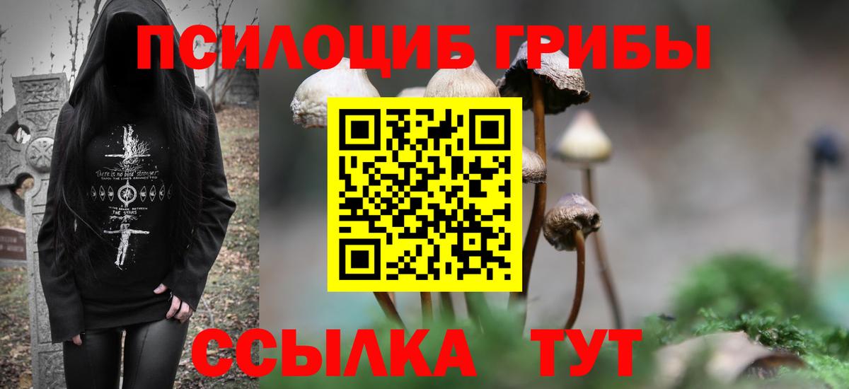Галлюциногенные грибы ЛСД Магадан
